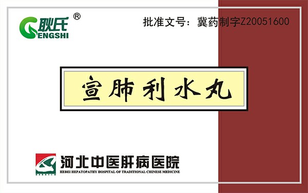 宣肺利水丸.jpg