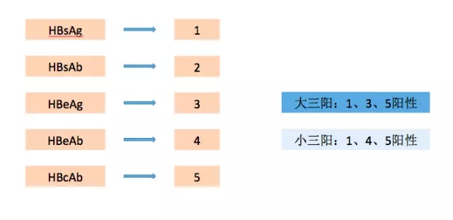 小三阳是怎么回事