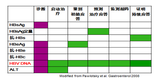 血清HBV-DNA定量检测.png