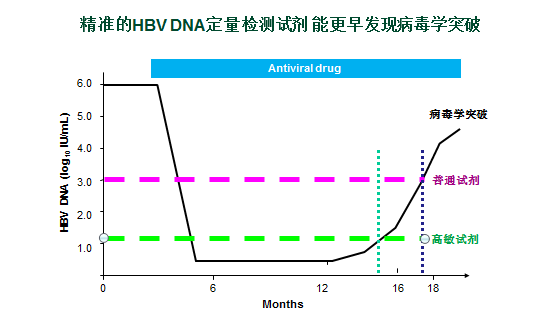 精确的HBV DNA定量检测试剂 能更早发现病毒学突破.png