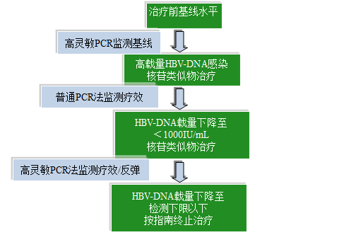 HBV-DNA常规和高灵敏定量检测简明路径图.png